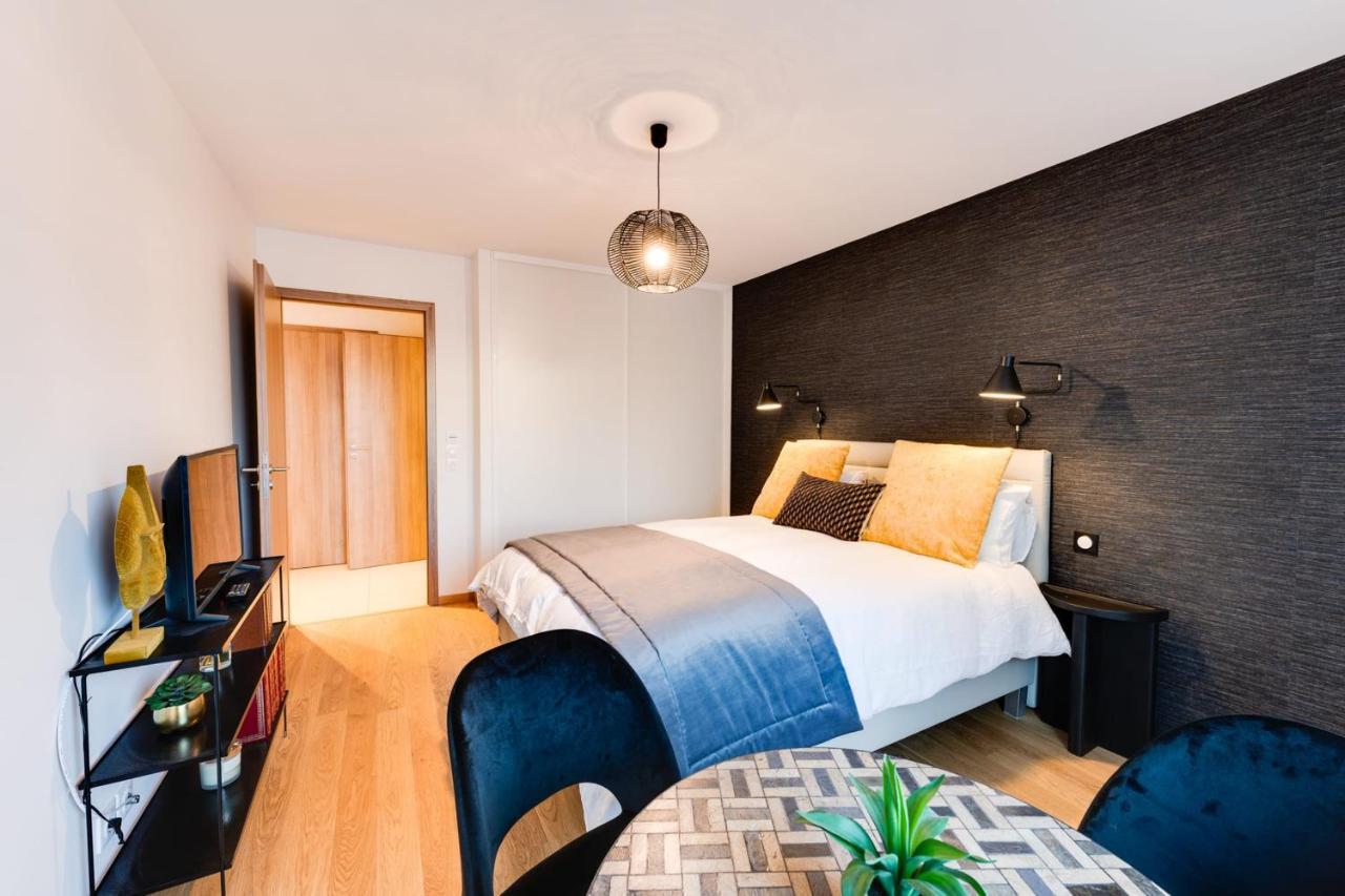 Le Reposoir - New 2 Bedroom Apartment With Terrace & Garage 阿讷西 外观 照片